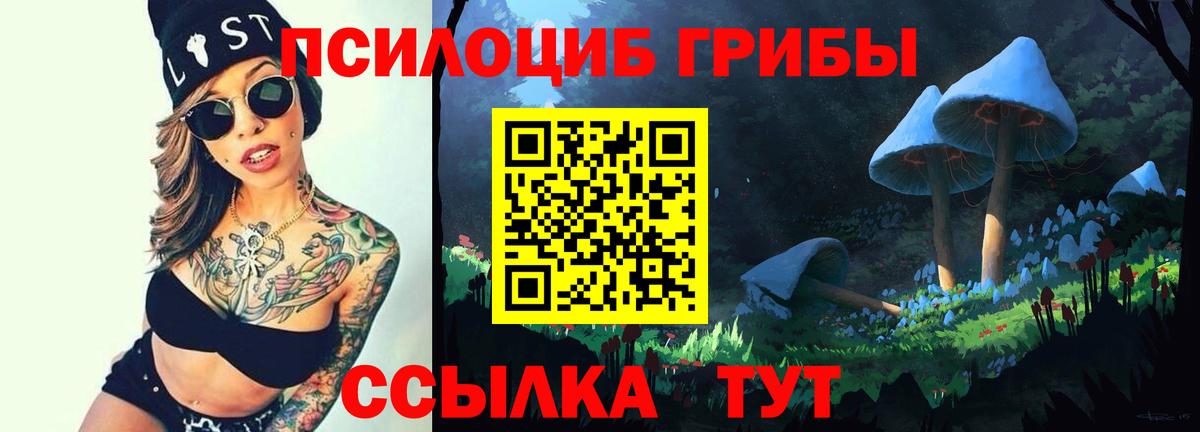 Галлюциногенные грибы Psilocybine cubensis Владикавказ